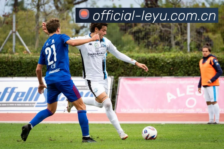 数据分析功能